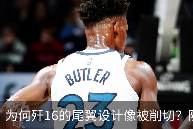 为何歼16的尾翼设计像被削切？隐身真的为它的首要考量吗
