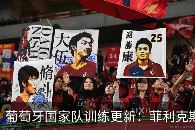 葡萄牙国家队训练更新：菲利克斯回归，C罗缺席